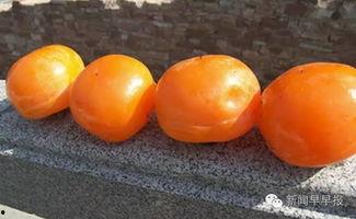 我是千金不是软柿子,我的独立人生之路  第3张