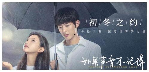 如果声音记得你,回忆中的旋律与情感  第2张