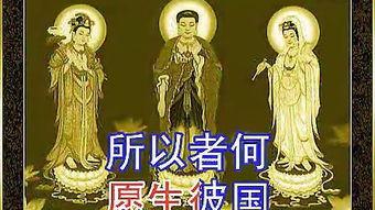 阿弥陀堂讯息,揭秘神秘佛国净土的秘密