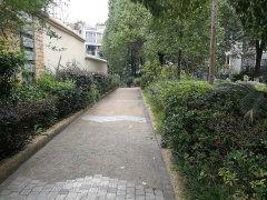 都市卧龙,隐匿凡尘的传奇智谋