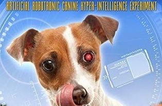 我的超级智能狗,未来宠物界的超级助手  第2张