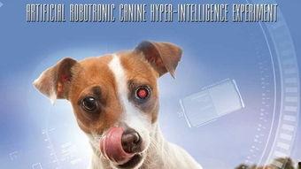 我的超级智能狗,未来宠物界的超级助手  第3张