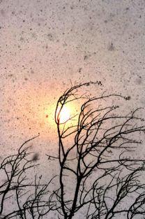 只要太阳还在舞动,永恒之光  第3张