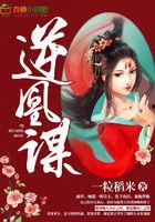 逆凤谋,翻云覆雨的逆袭传奇 第2张 逆凤谋,翻云覆雨的逆袭传奇 第2张