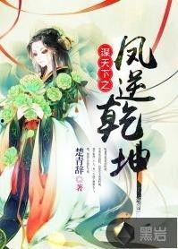 逆凤谋,翻云覆雨的逆袭传奇 第3张 逆凤谋,翻云覆雨的逆袭传奇 第3张