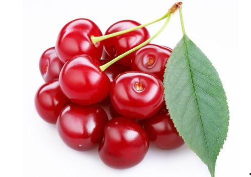 红樱桃 1982,1982年的青春记忆与时代变迁